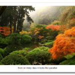 japanese-gardens-portland-or396.png