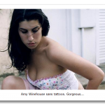 winehouse207_cd-752833.png