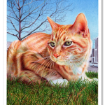 ginger_cat___ballpoint_pen_by_vianaarts-d4z3sg3.png