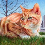 ginger_cat___ballpoint_pen_by_vianaarts-d4z3sg3-8×6.jpg