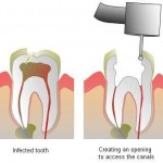 rct1-8×6.jpg