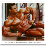 Bodybuilders-728869.png