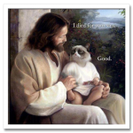 JesusGrumpyCat.png