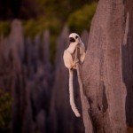 Madagascar_15-8×6.jpg