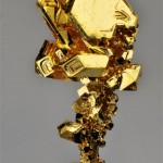 element-tanaka-gold-8×6.jpg