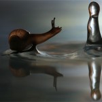 snail-water-drop_2494624k-8×6.jpg
