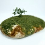 maico-akiba-moss-4-8×6.jpg