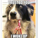 skeptical-dog-26381.png