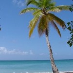 220px-1859-Martinique.web_.jpg