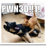 pwned2.png